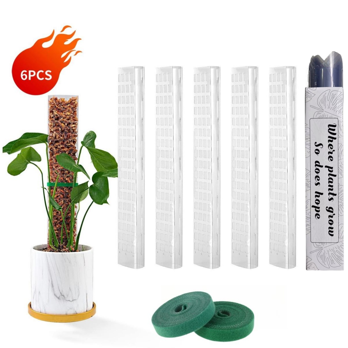 Sphagnum Moss Dry - Postes de musgo, soporte para plantas,