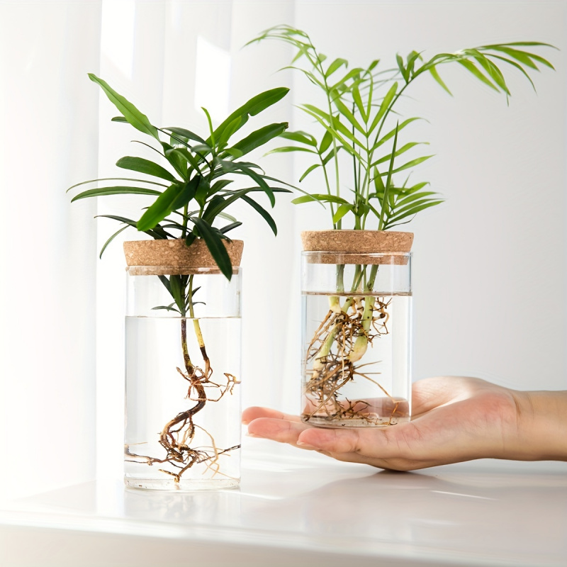 Propagation Station Vase - Maceta de vidrio para plantas hidropónicas,