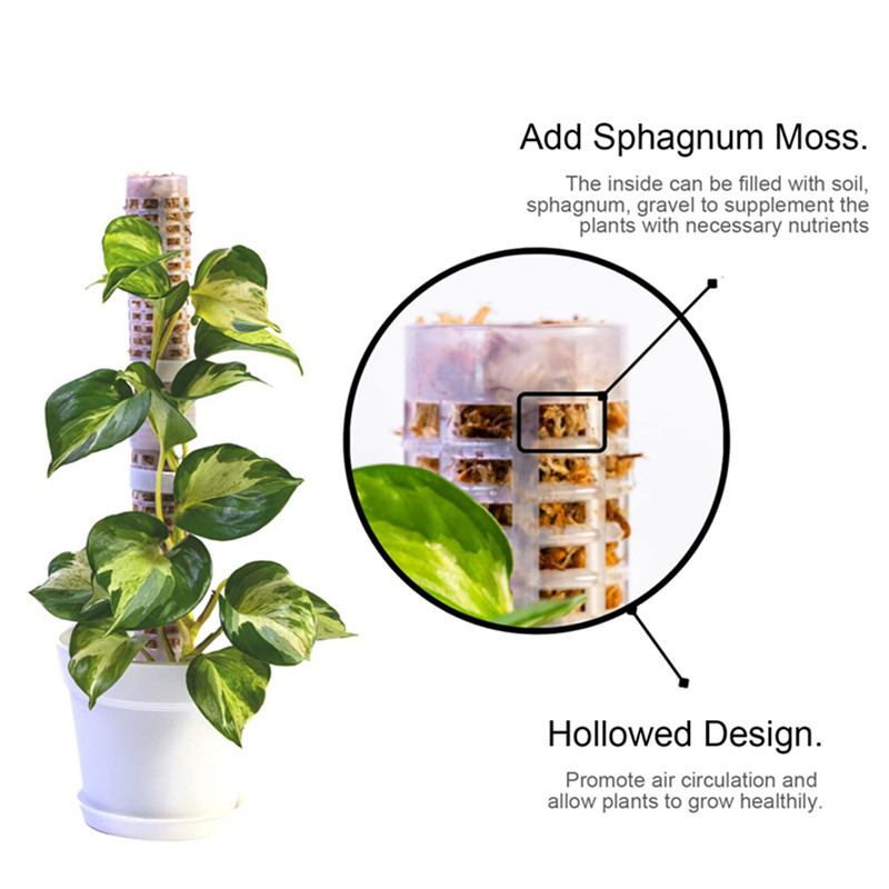 Sphagnum Moss Dry - Columna de soporte para plantas trepadoras,