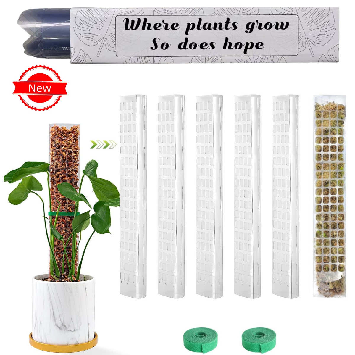 Sphagnum Moss Dry - Poste de musgo para plantas, sujeto