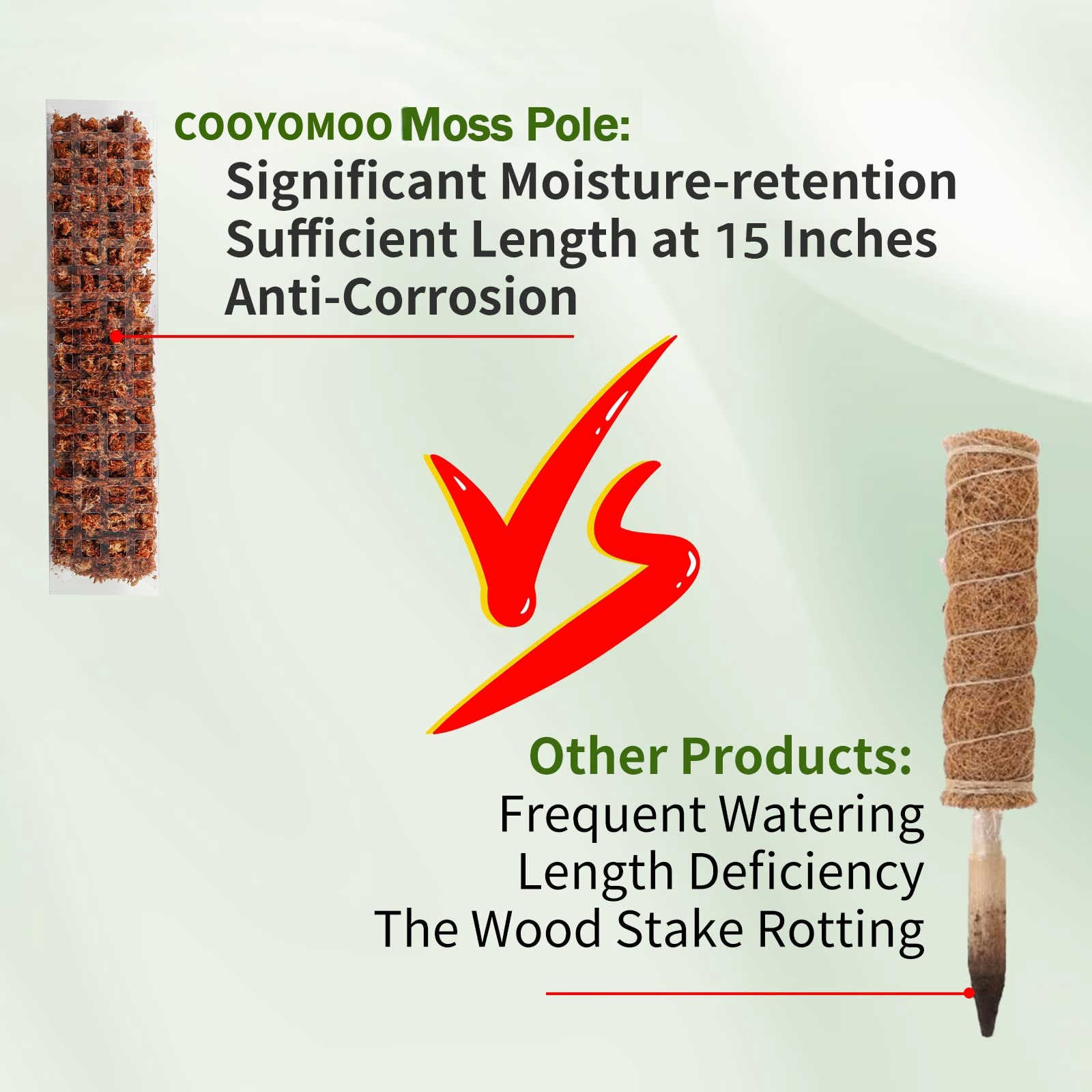 Postes de musgo, soporte para  - Sphagnum Moss Dry reseña y precio