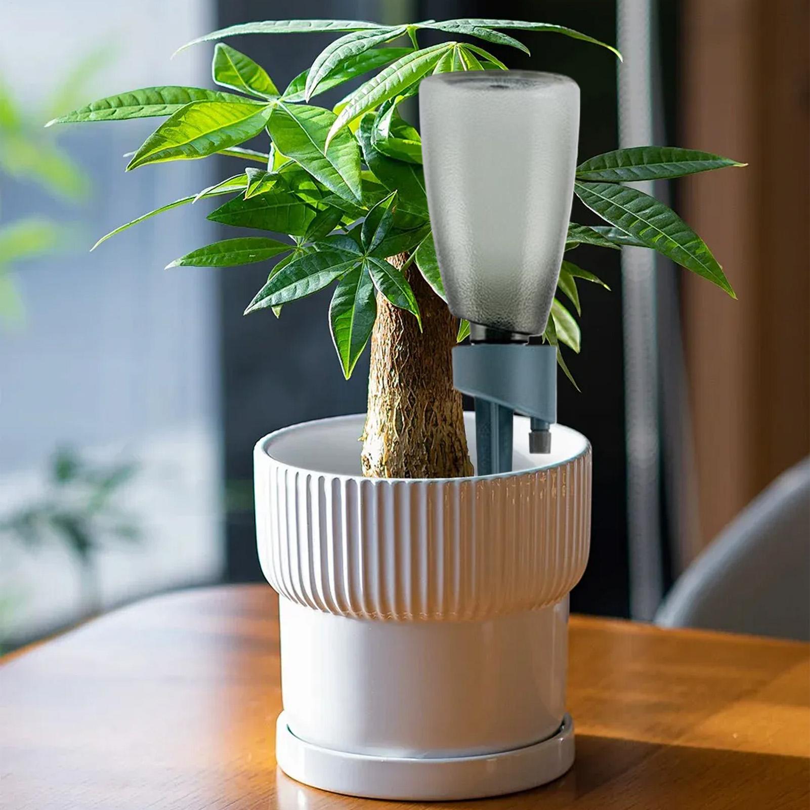 6 Piezas de Sistema de Riego A - Self Watering Insert reseña y precio