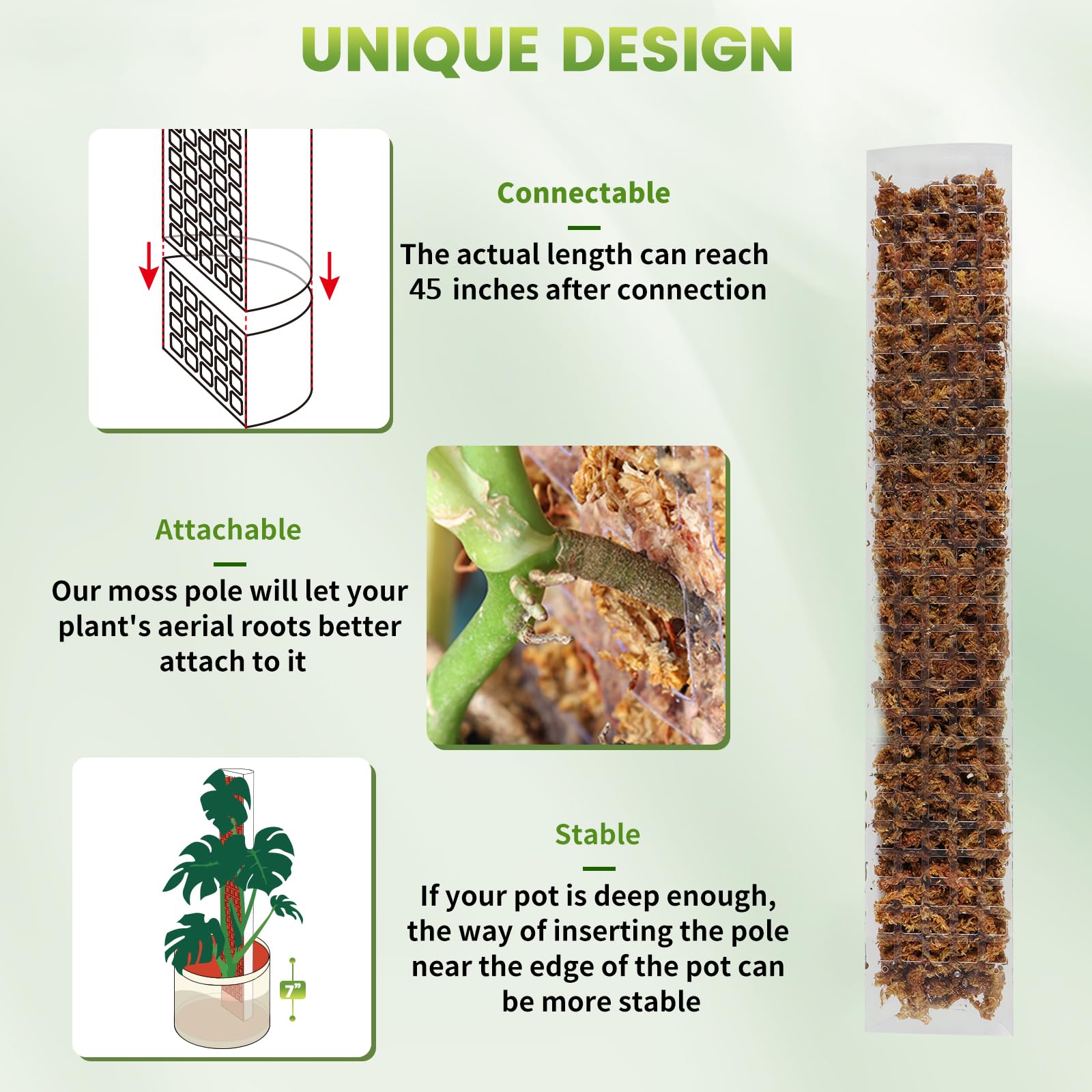 Columna de musgo de agua para  - Sphagnum Moss Dry reseña y precio