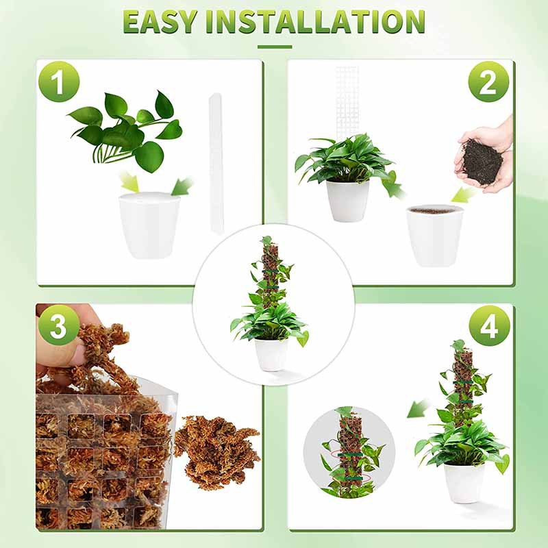 Columna de musgo de agua para  - Sphagnum Moss Dry reseña y precio