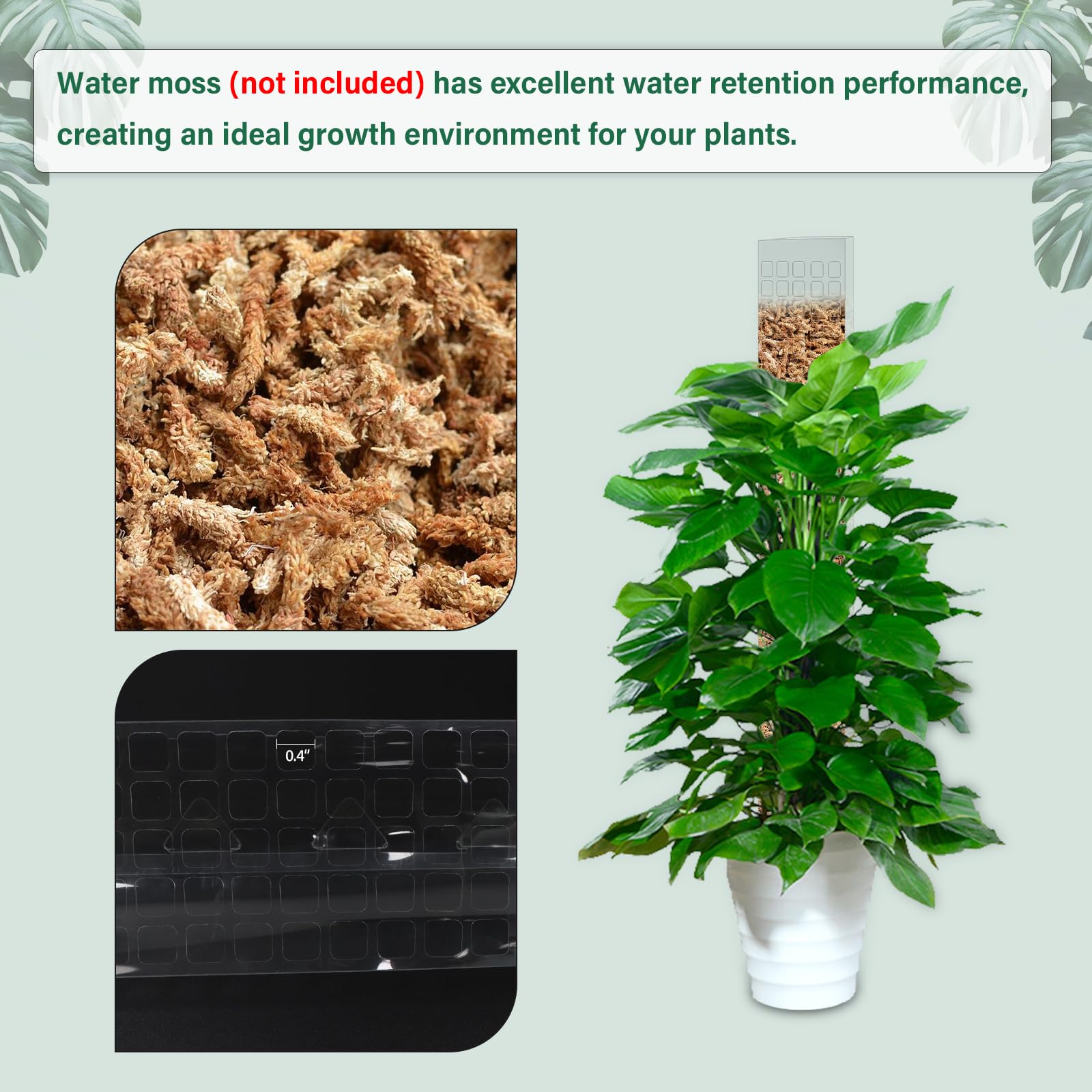 Soporte de Plástico para Plant - Sphagnum Moss Dry reseña y precio