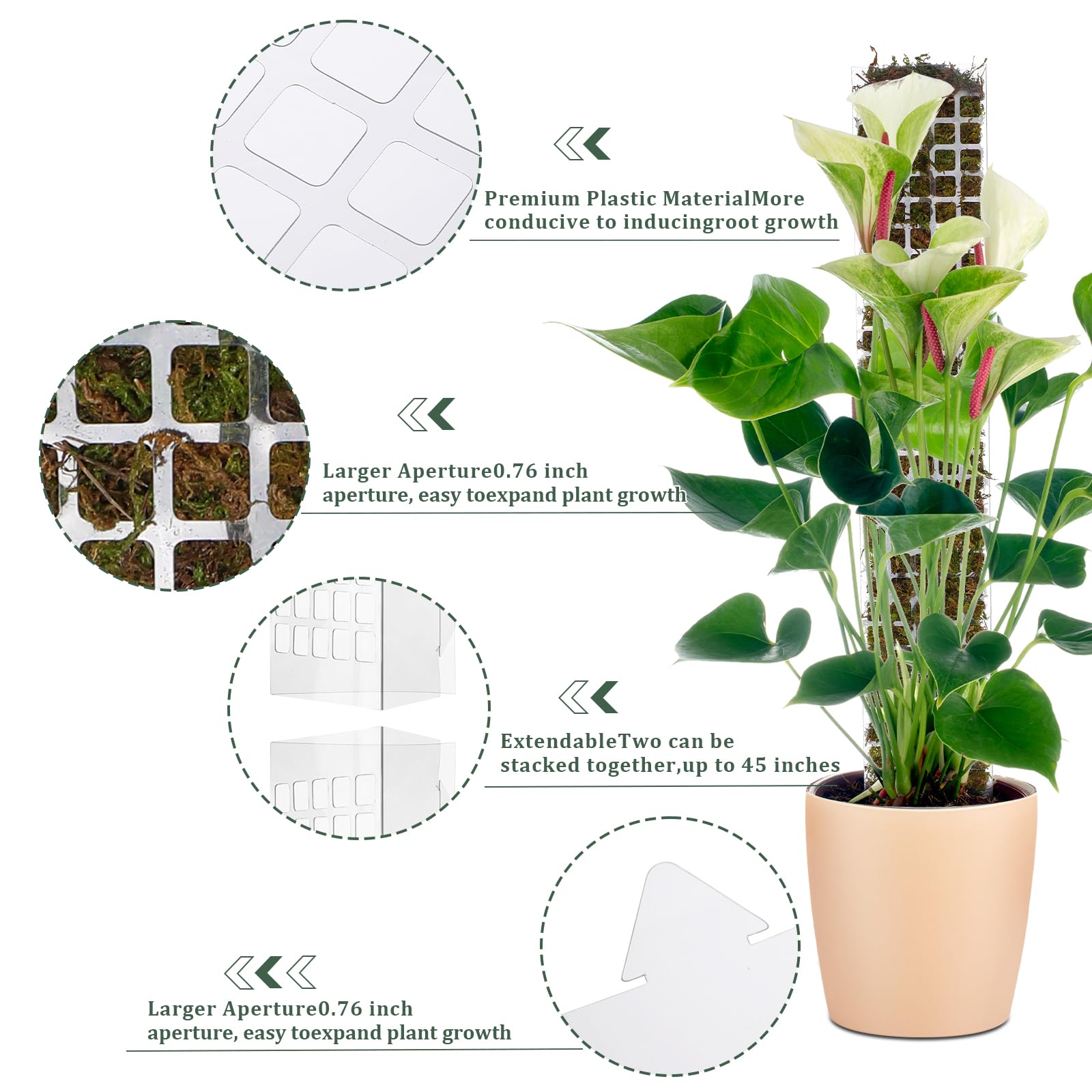 Soporte de Plástico para Plant - Sphagnum Moss Dry reseña y precio