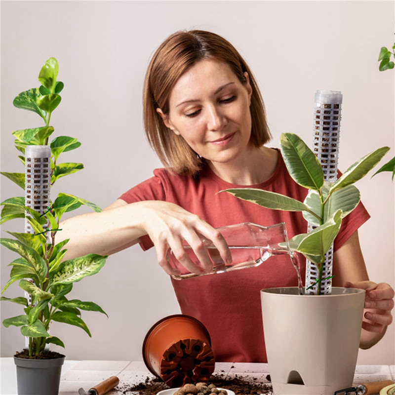Columna de soporte para planta - Sphagnum Moss Dry reseña y precio