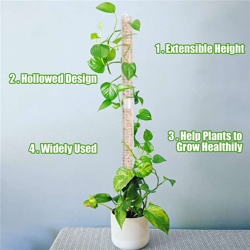 Columna de soporte para planta - Sphagnum Moss Dry reseña y precio