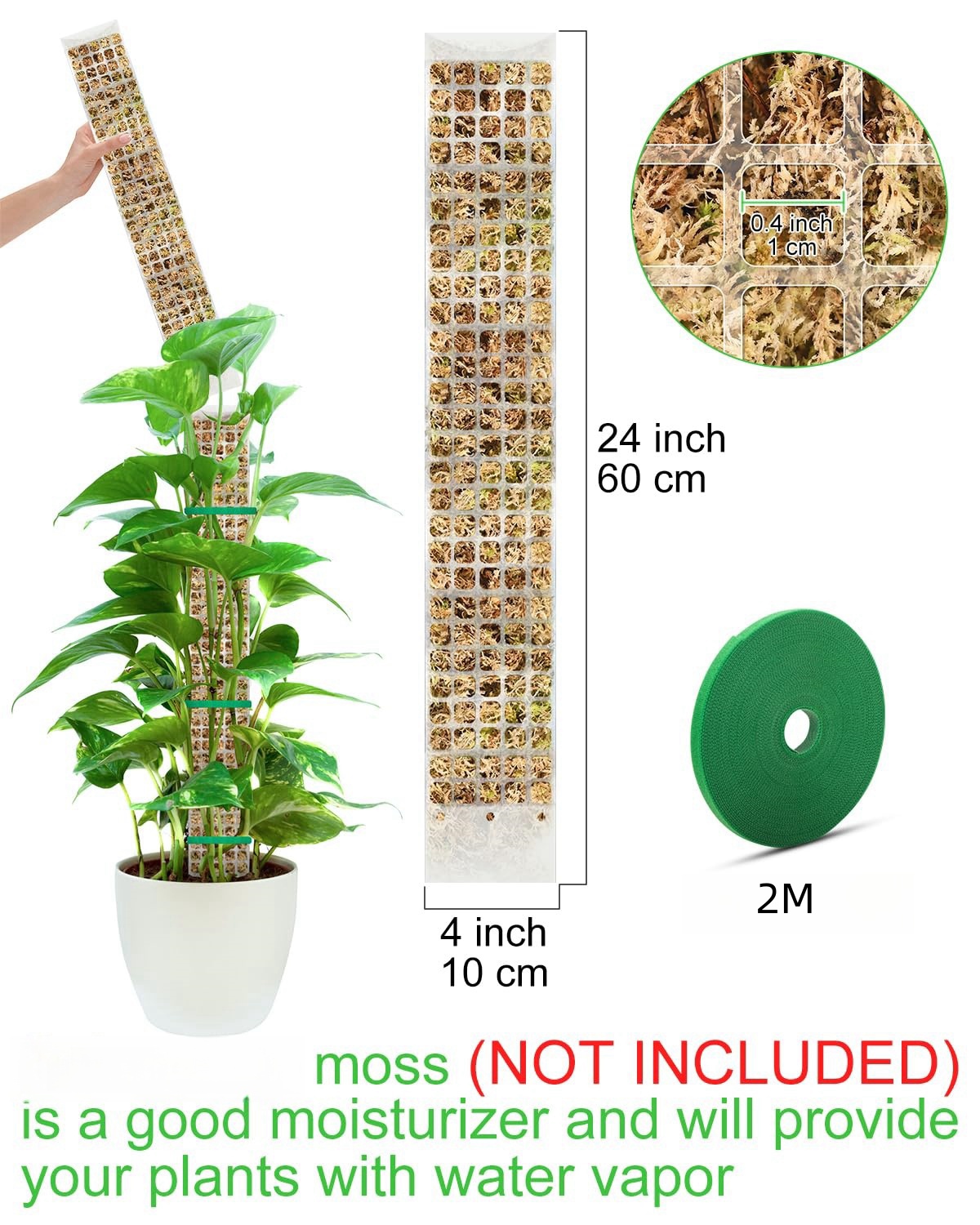 Poste de musgo para plantas, s - Sphagnum Moss Dry reseña y precio