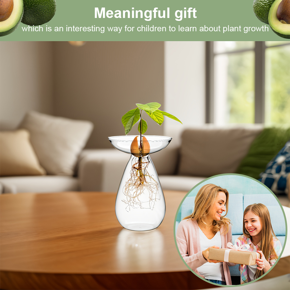 Florero de inicio de semillas  - Propagation Station Vase reseña y precio