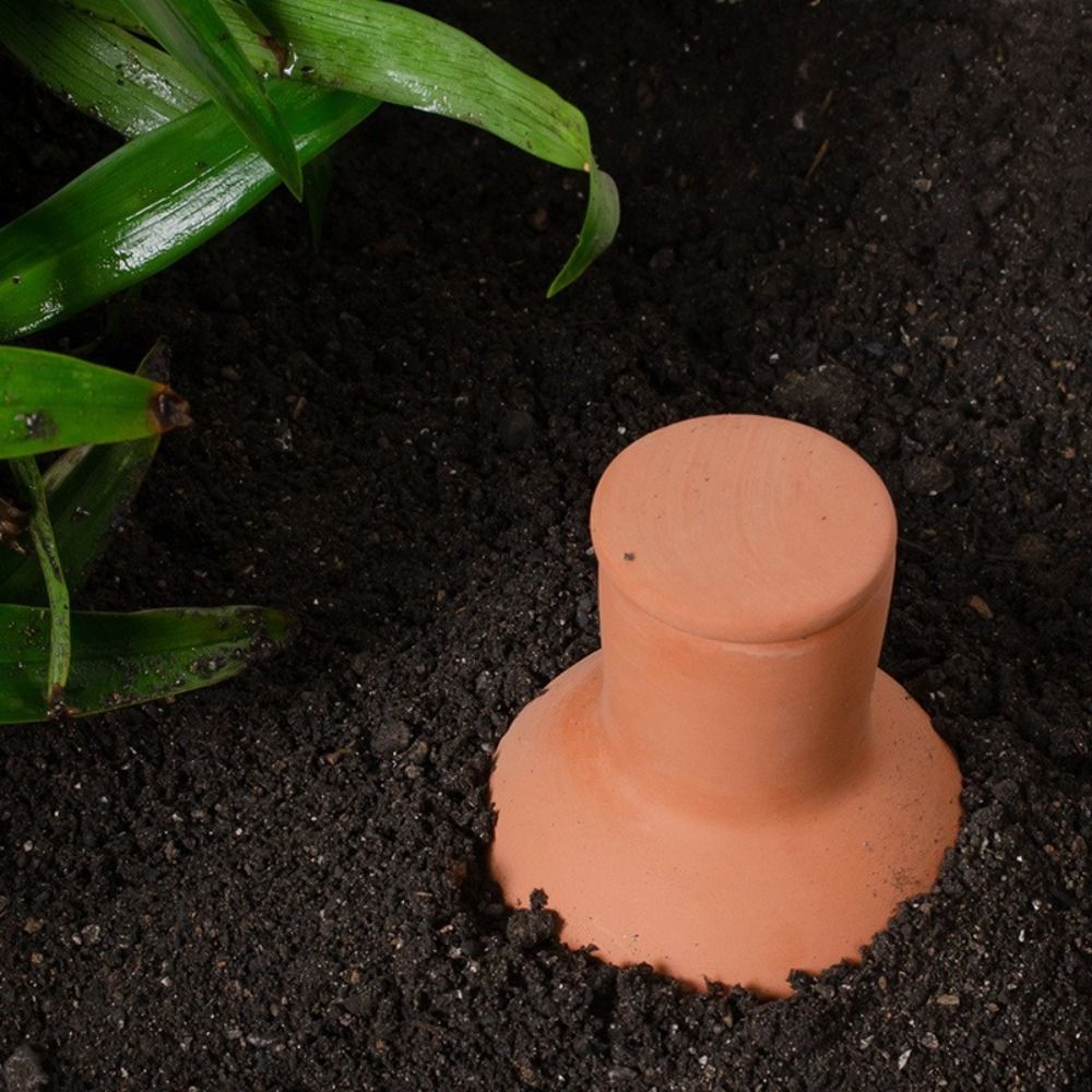 4 Puntas de Riego Automático d - Self Watering Insert reseña y precio